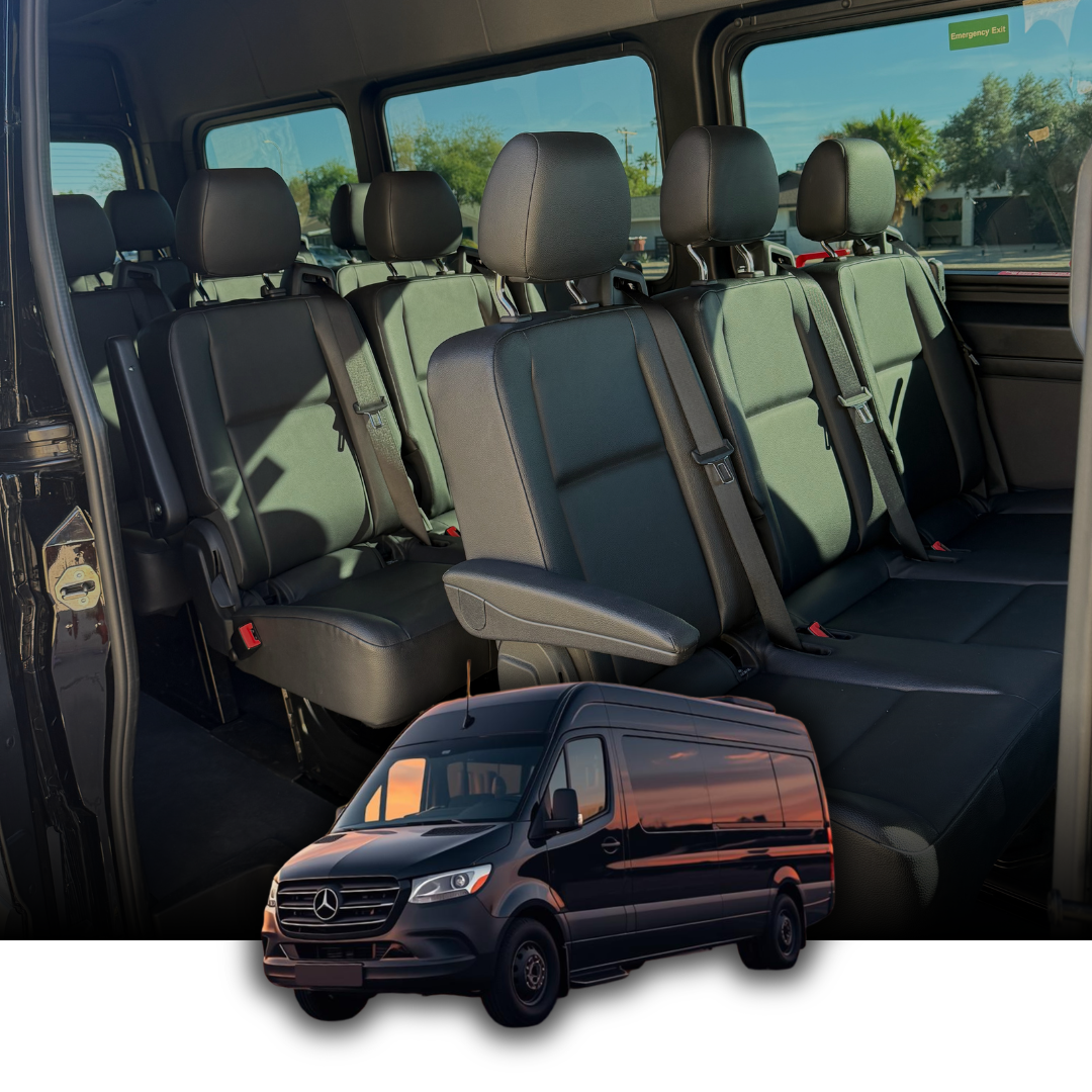 14 person Black Executive Sprinter
