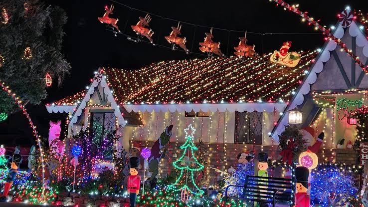 christmas light tours